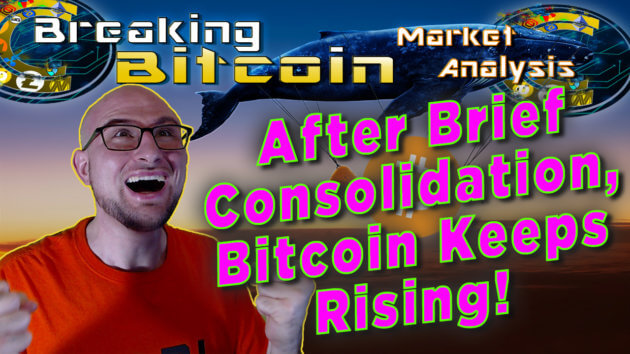 text after brief consolidation bitcoin keeps rising! next to justins ridiculously happy double fist screaming happy face with grpahic background of flying blue whale carrying a plane with huge bitcoin logo over it