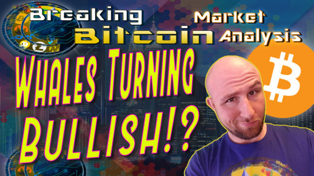 text whales turning bullish? next to justin's unsure smug face with graphic background and bitcoin logo with show title breaking bitcoin at top and CC logo