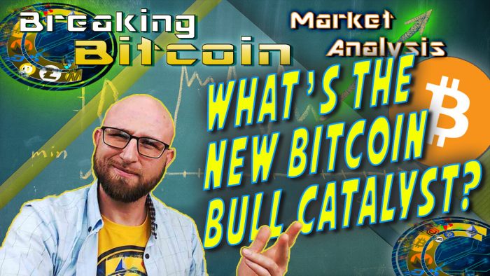 text what's the new bitcoin bull catalyst next to justin's "did you see this" face with hand up like here it is with graphic background of school chalk board with chart drawn and arrow at right end going up to moon and bitcoin logo