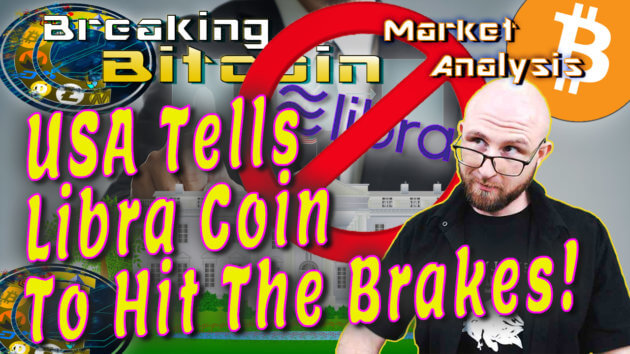 text usa tells libra coin to hit the breaks next to justin looking over glasses skeptical face with white house illustration graphic background and prohibited circle cross over libra coin logo and bitcoin logo