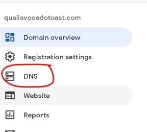 select dns in the left navigation menu