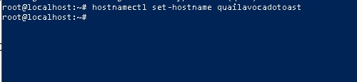 setting a custom hostname for your server